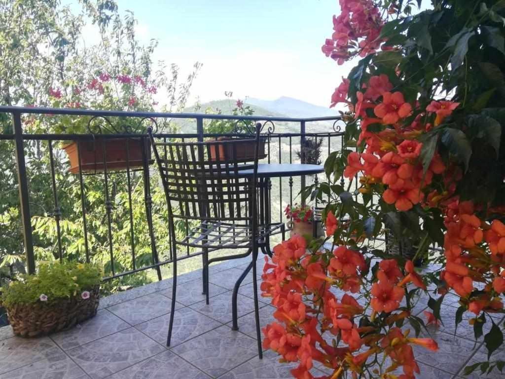 Agriturismo Al Pagan Pigna Eksteriør billede