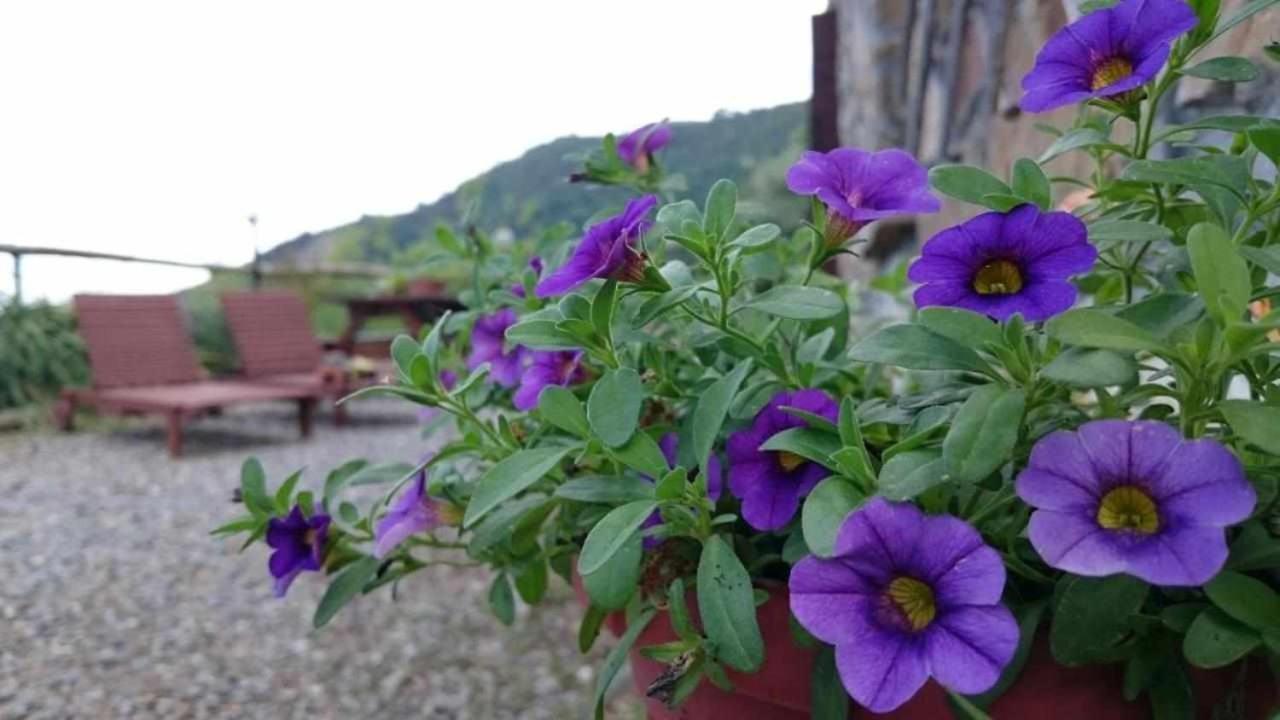 Agriturismo Al Pagan Pigna Eksteriør billede
