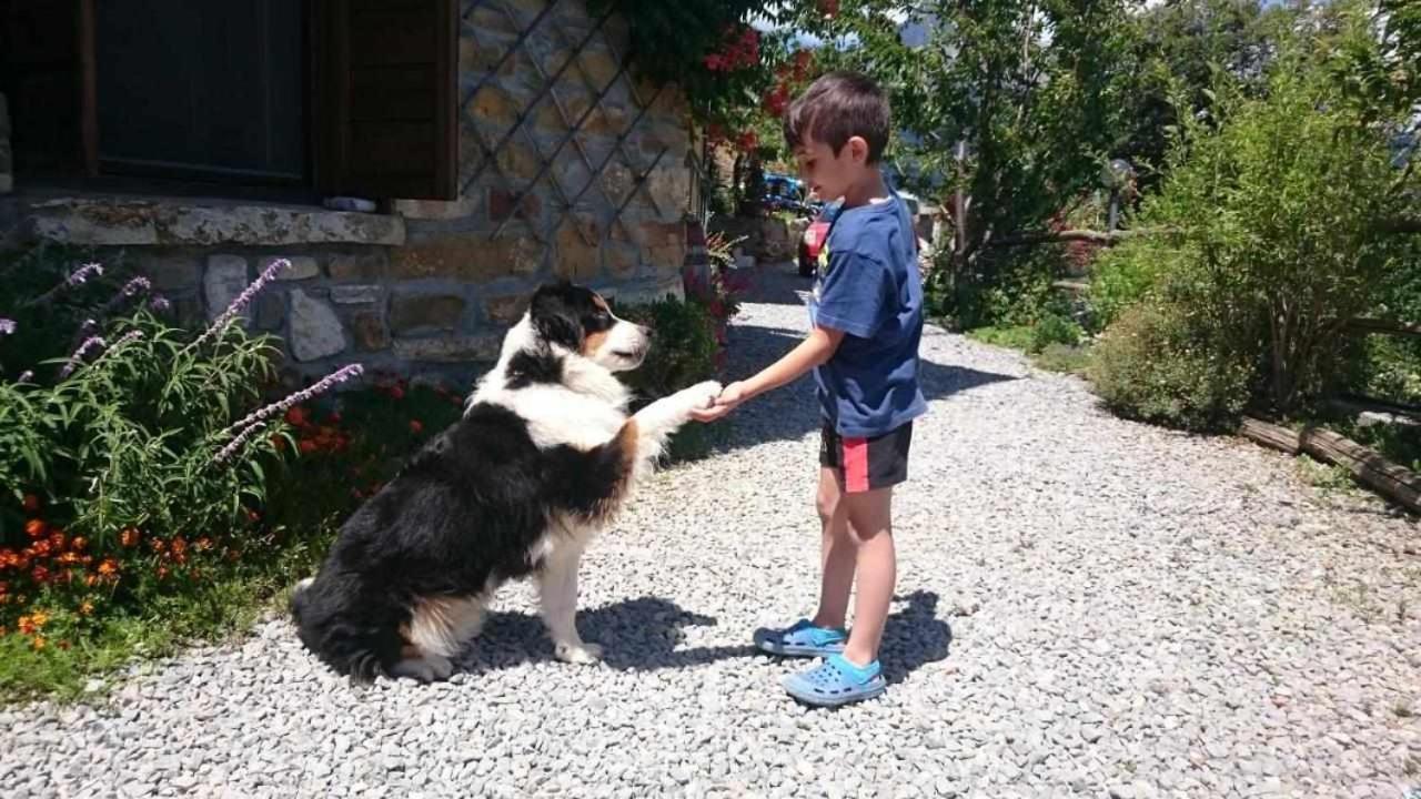 Agriturismo Al Pagan Pigna Eksteriør billede